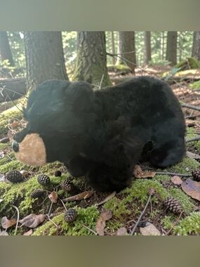 Douglas Cuddle Toy Black Bear Plush Stuffed Animal Realistic Soft